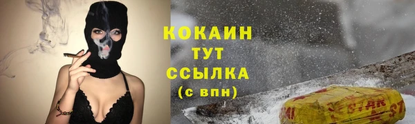 дмт Костерёво