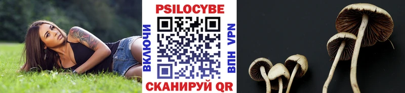 Купить  Туапсе  Галлюциногенные грибы Psilocybine cubensis 